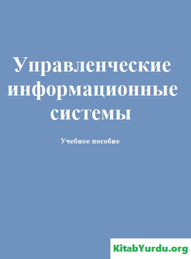 Управленческие информационные системы