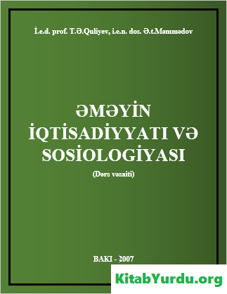 ƏMƏYİN İQTİSADİYYATI VƏ SOSİALOGİYASI