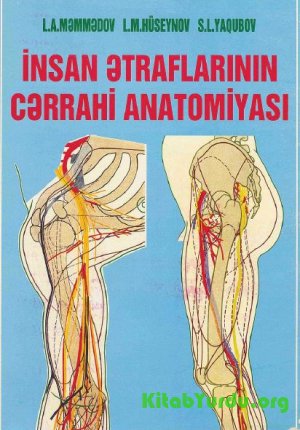 İnsan Ətraflarının Cərrahi Anatomiyası