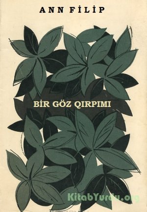 Ann Filip - Bir göz qırpımı