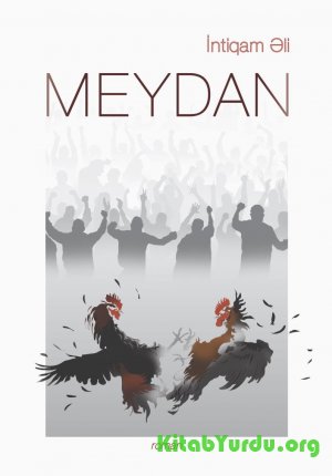 İntiqam Əliyev - Meydan