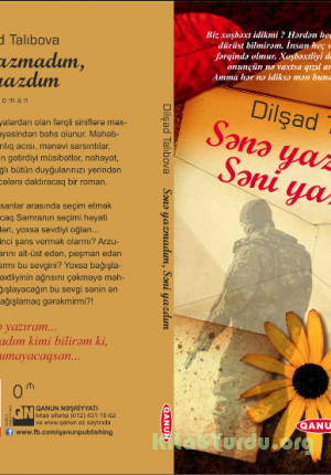 Sənə yazmadım , Səni yazdım